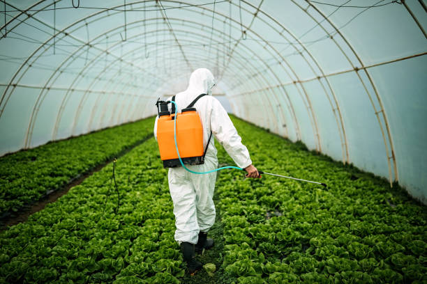 Best Pest Removal Services  in Charenton, LA
