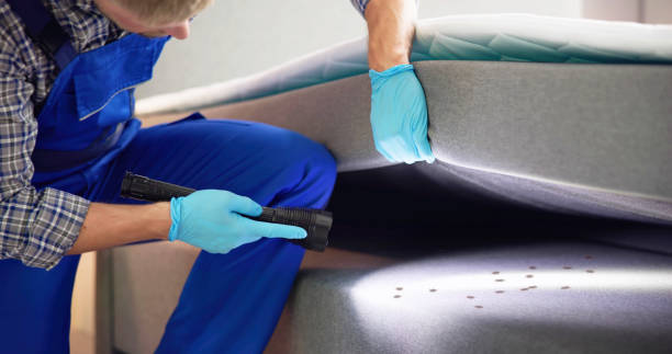 Best Flea Control Services  in Charenton, LA