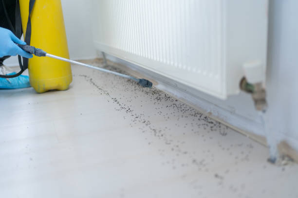 Best Pest Inspection Near Me  in Charenton, LA