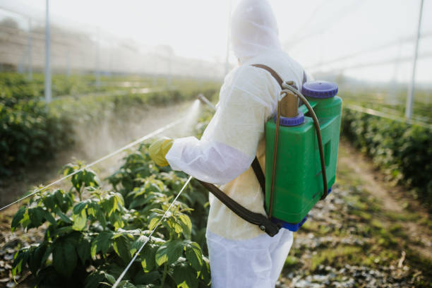 Trusted Charenton, LA Pest Control Experts